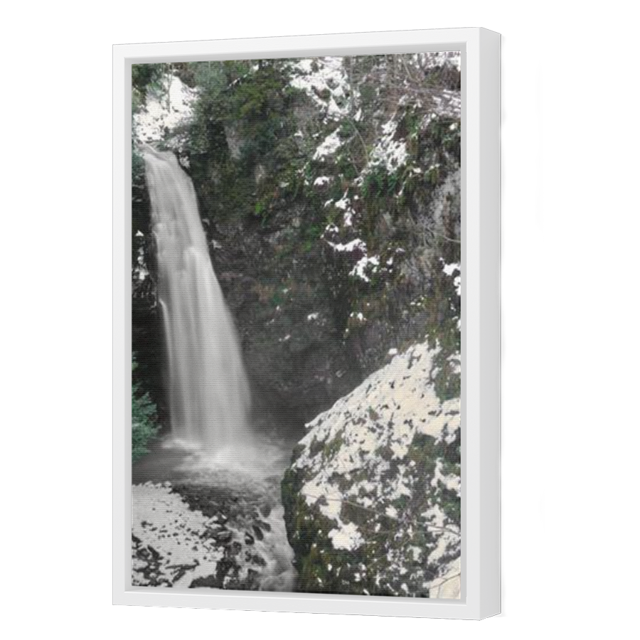 Thumbnail for Canvas - White Floating Frame