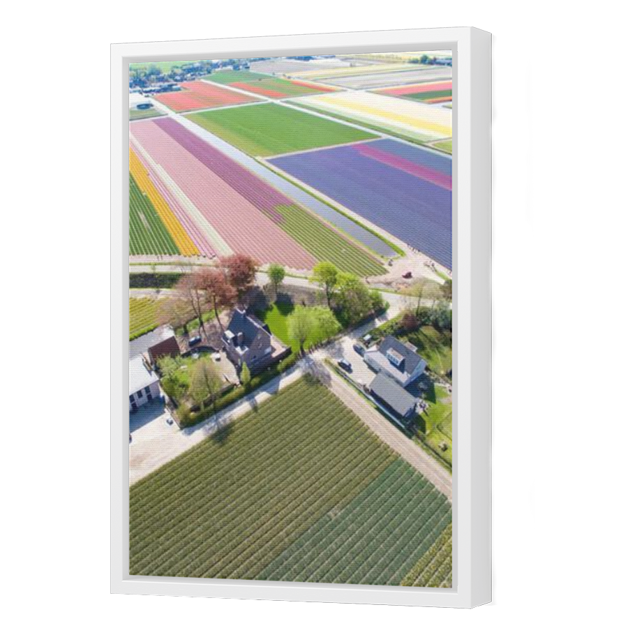 Thumbnail for Canvas - White Floating Frame