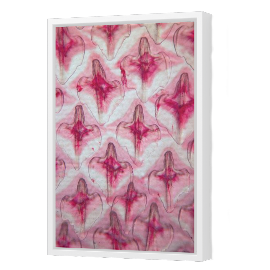Thumbnail for Canvas - White Floating Frame