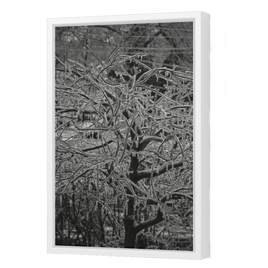 Thumbnail for Canvas - White Floating Frame