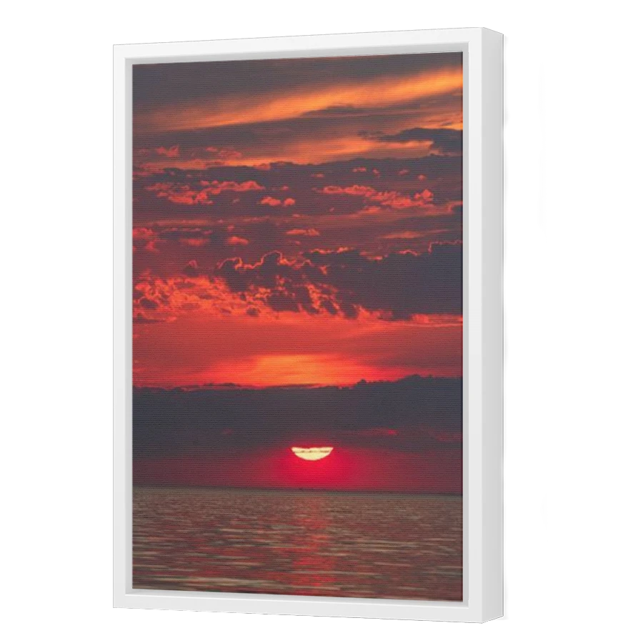 Thumbnail for Canvas - White Floating Frame