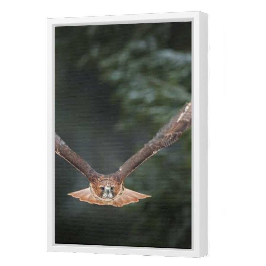 Thumbnail for Canvas - White Floating Frame