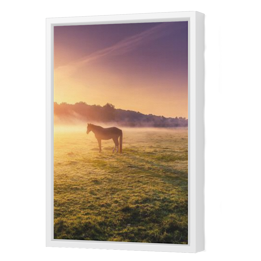 Thumbnail for Canvas - White Floating Frame
