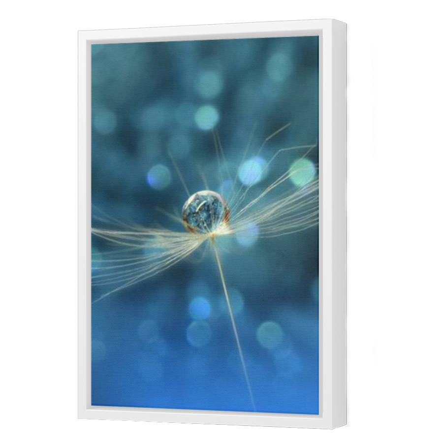 Thumbnail for Canvas - White Floating Frame