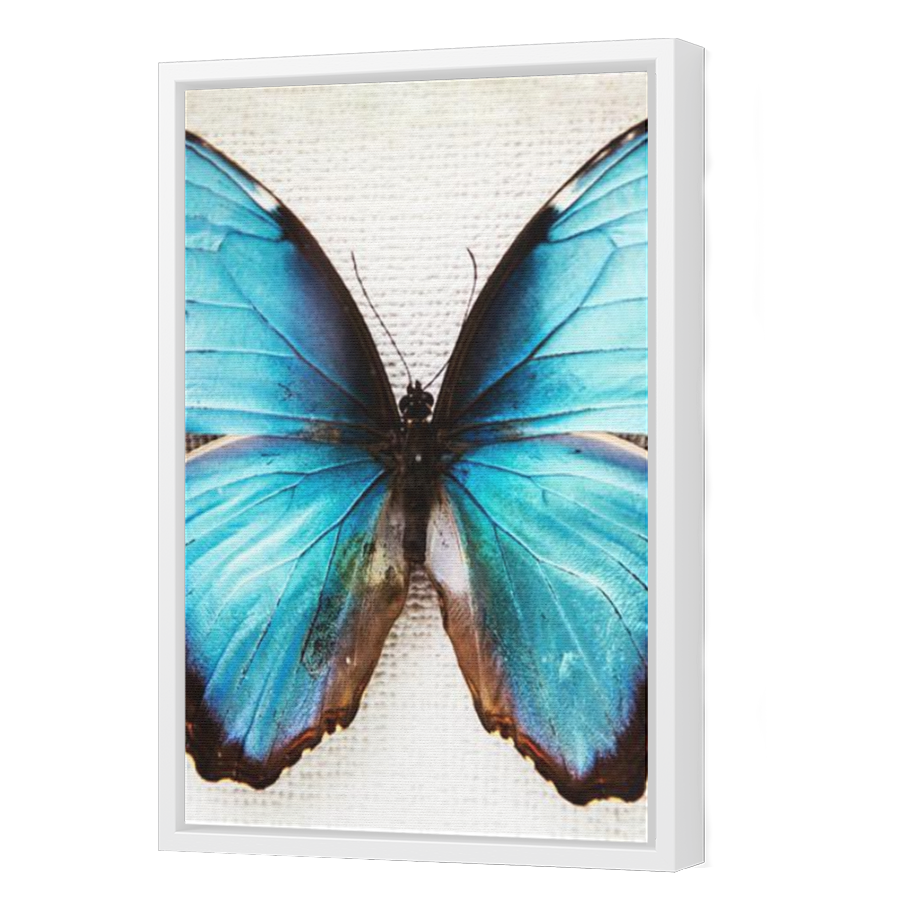 Thumbnail for Canvas - White Floating Frame