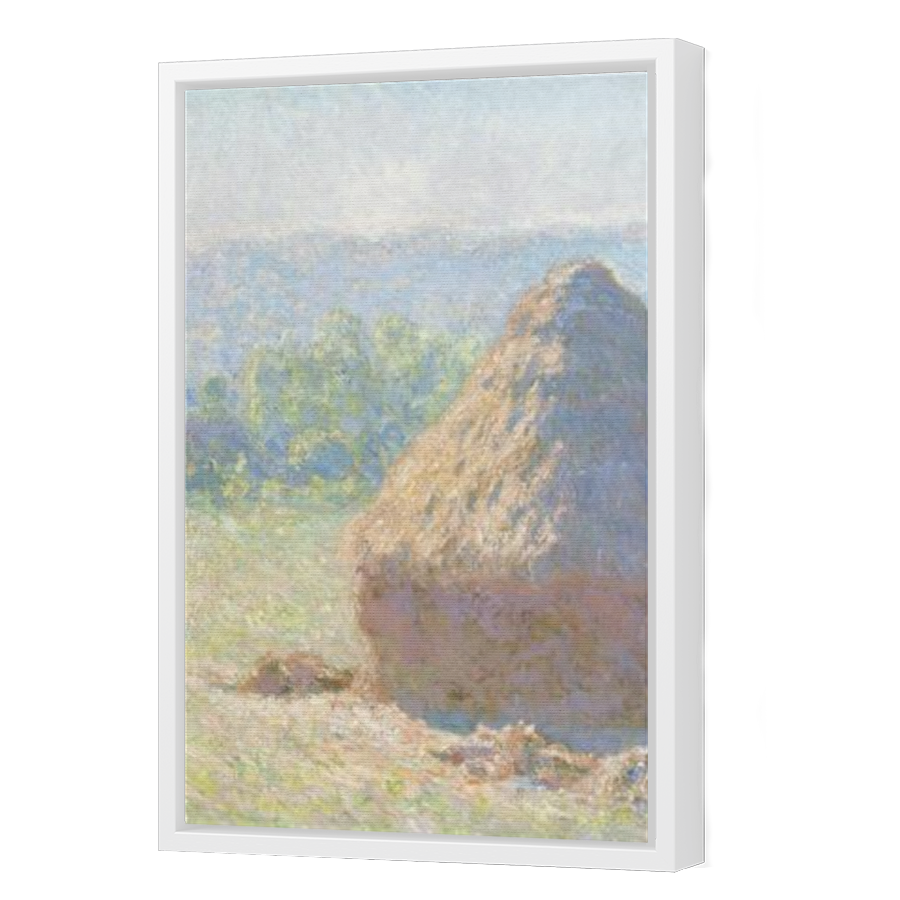 Thumbnail for Canvas - White Floating Frame