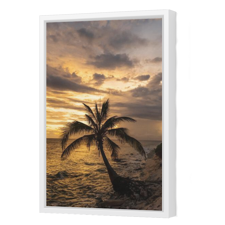 Thumbnail for Canvas - White Floating Frame
