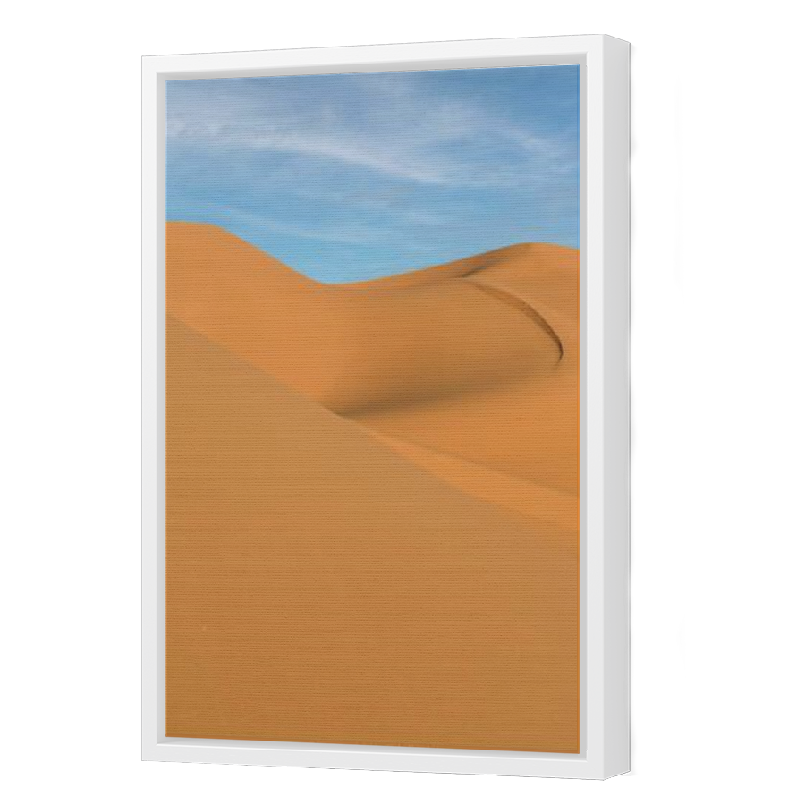 Thumbnail for Canvas - White Floating Frame