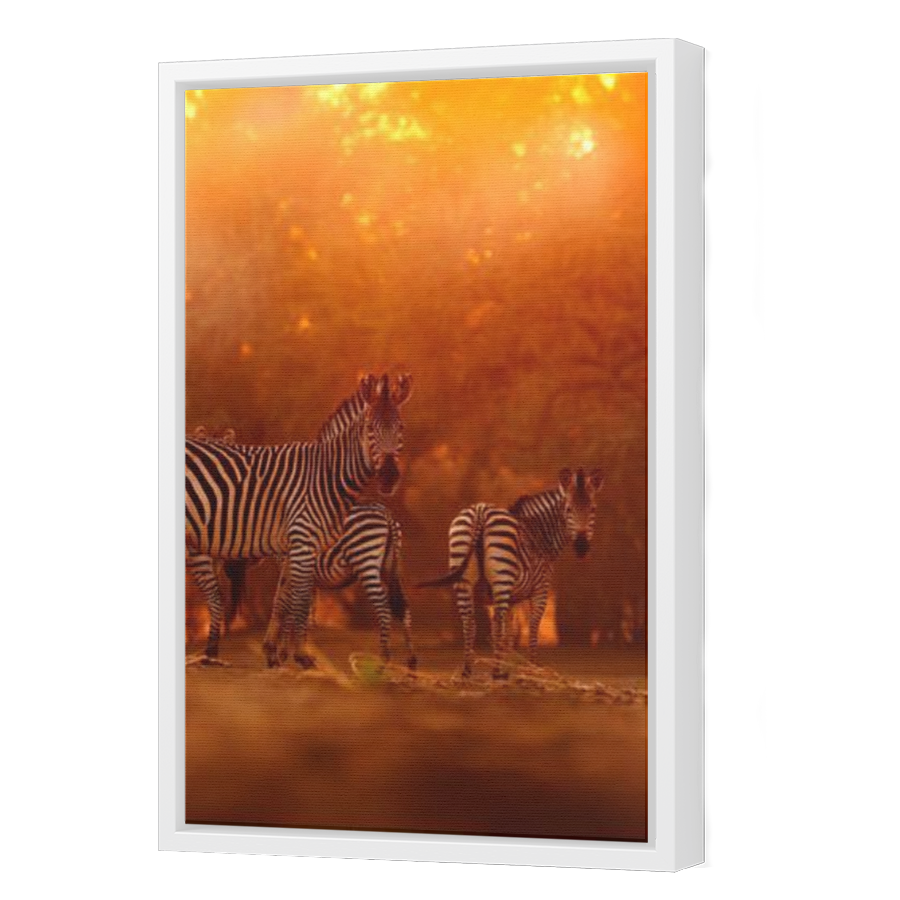 Thumbnail for Canvas - White Floating Frame