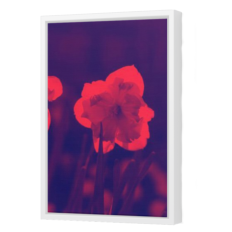 Thumbnail for Canvas - White Floating Frame