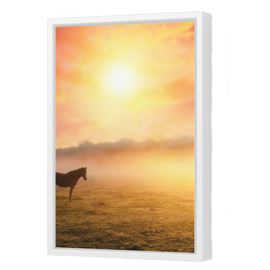 Thumbnail for Canvas - White Floating Frame