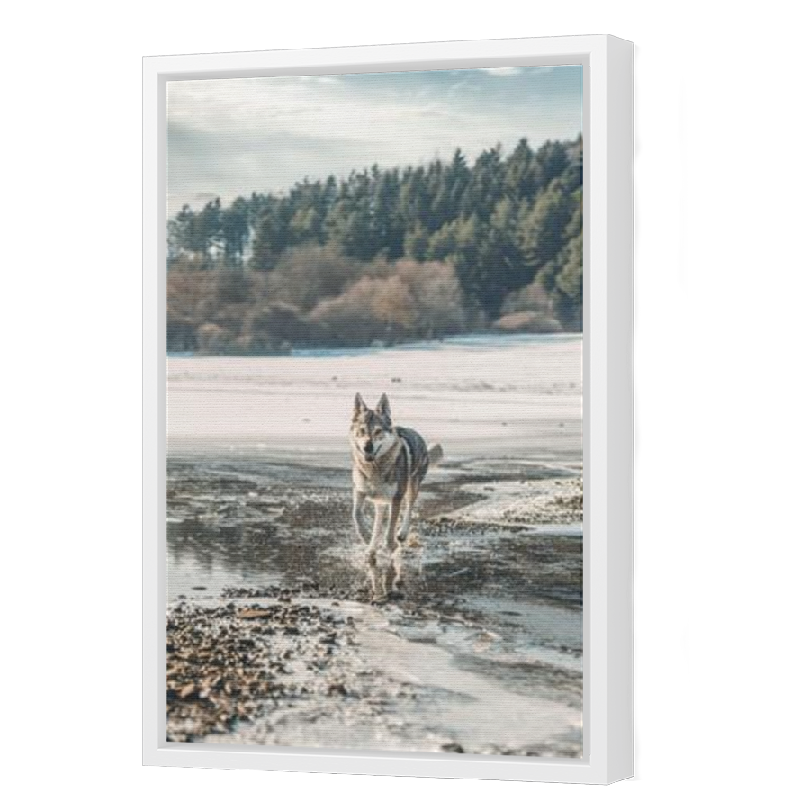Thumbnail for Canvas - White Floating Frame