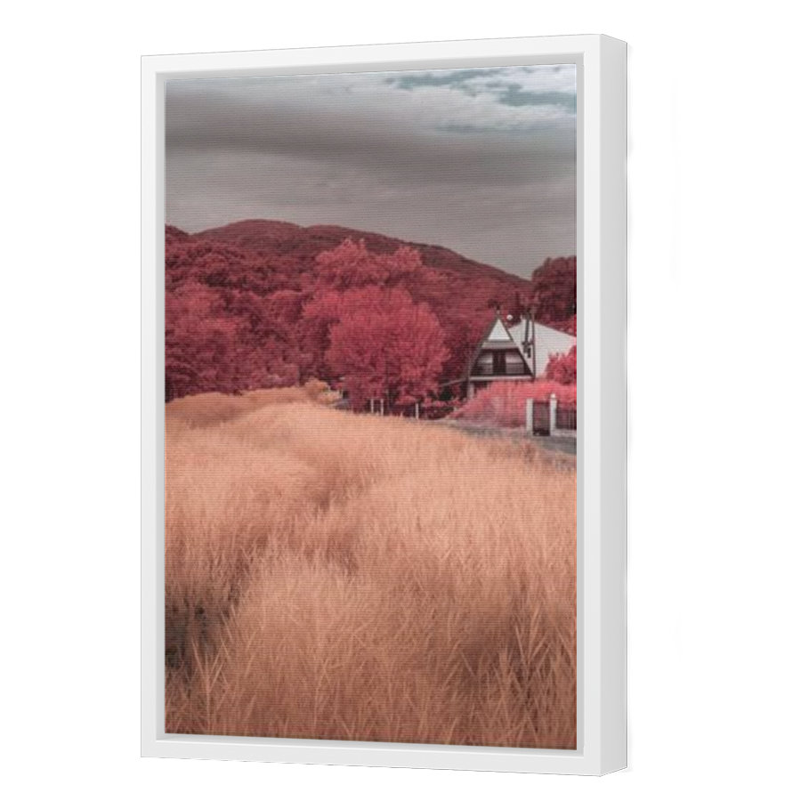 Thumbnail for Canvas - White Floating Frame