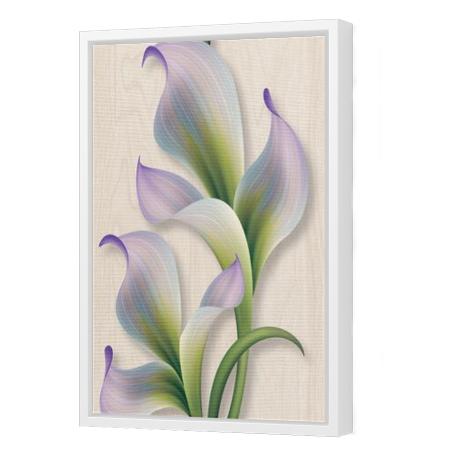 Thumbnail for Canvas - White Floating Frame