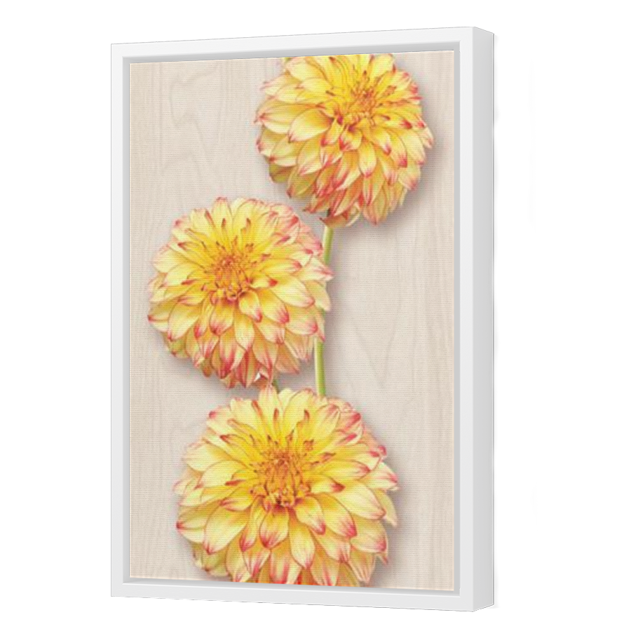 Thumbnail for Canvas - White Floating Frame