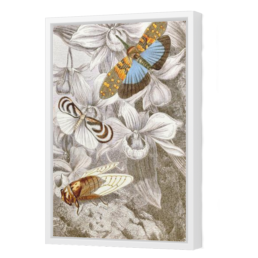 Thumbnail for Canvas - White Floating Frame