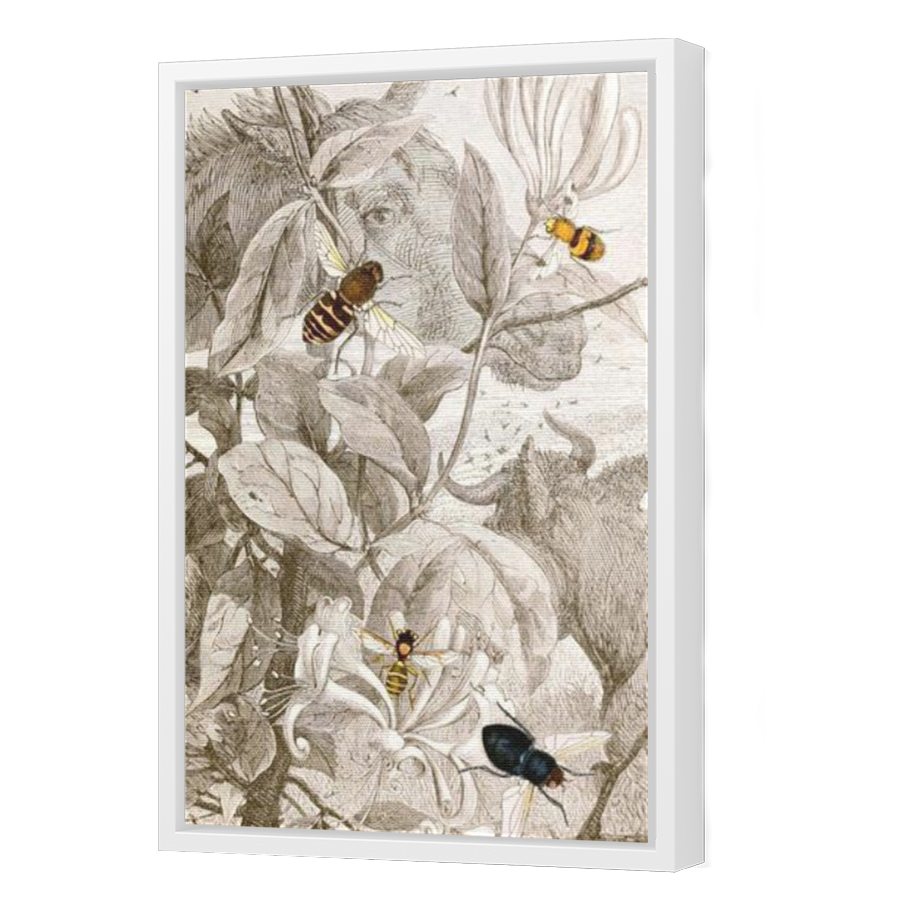 Thumbnail for Canvas - White Floating Frame