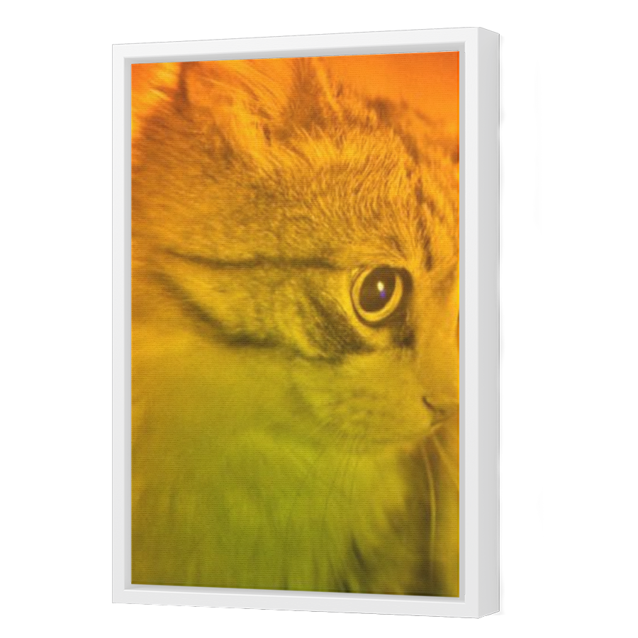 Thumbnail for Canvas - White Floating Frame