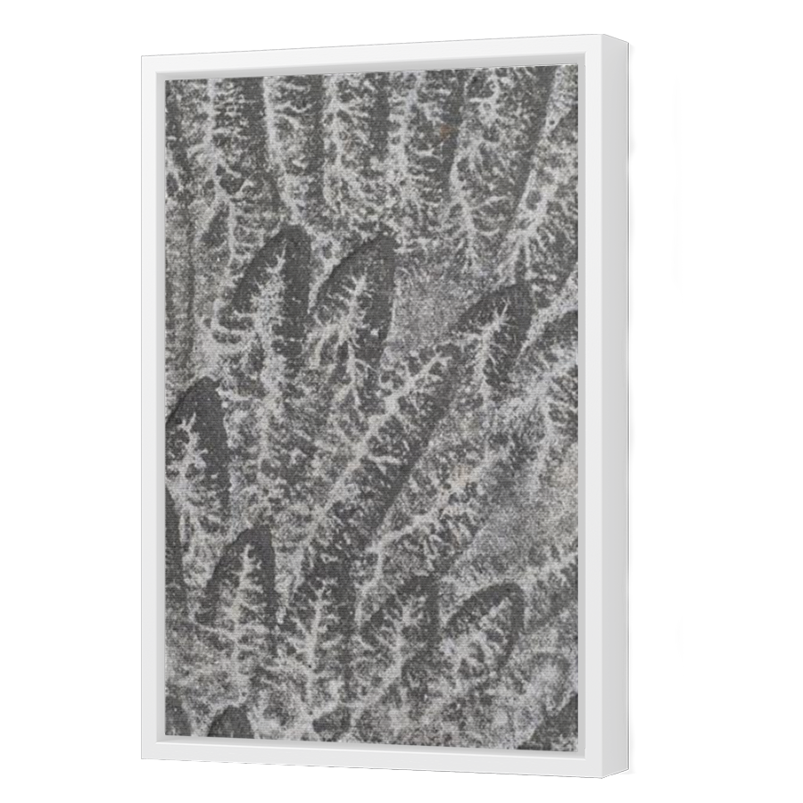 Thumbnail for Canvas - White Floating Frame