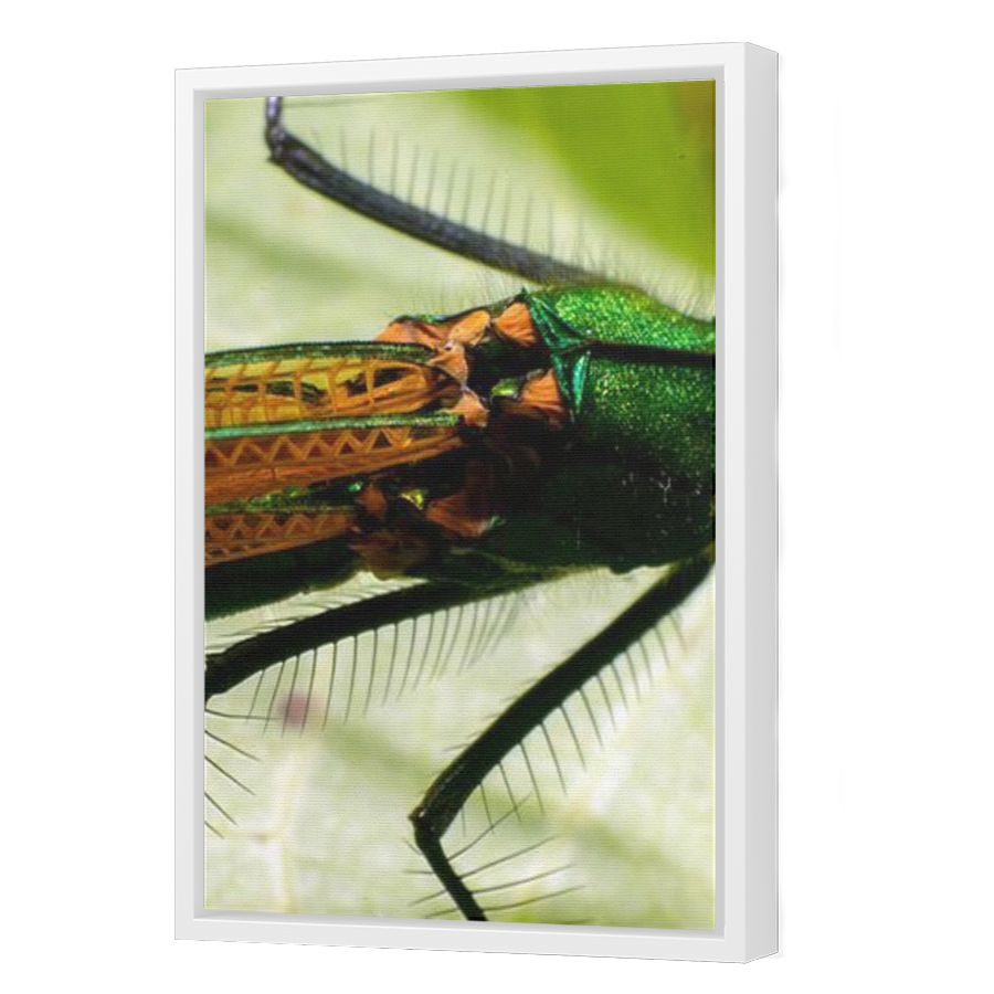 Thumbnail for Canvas - White Floating Frame