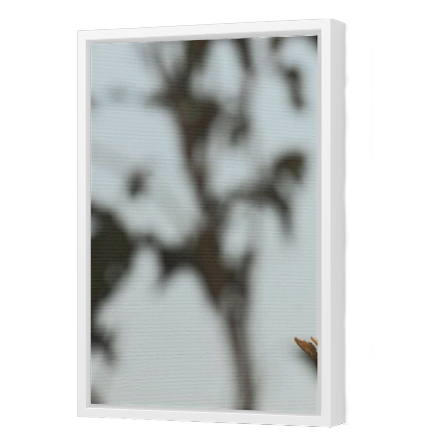 Thumbnail for Canvas - White Floating Frame