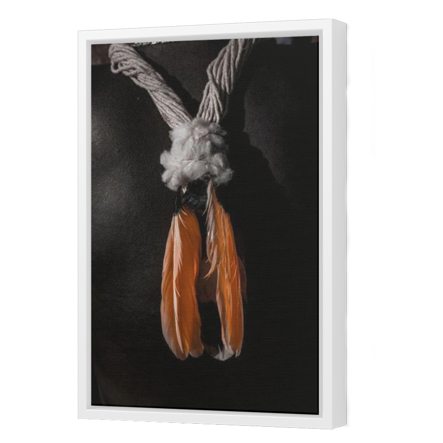 Thumbnail for Canvas - White Floating Frame