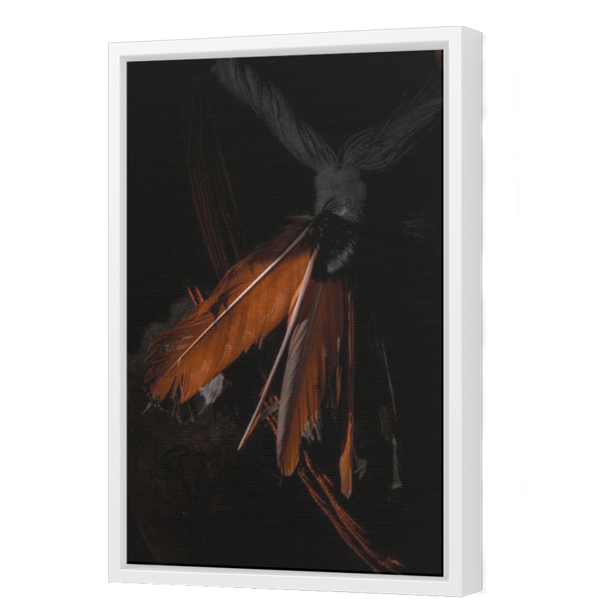 Thumbnail for Canvas - White Floating Frame