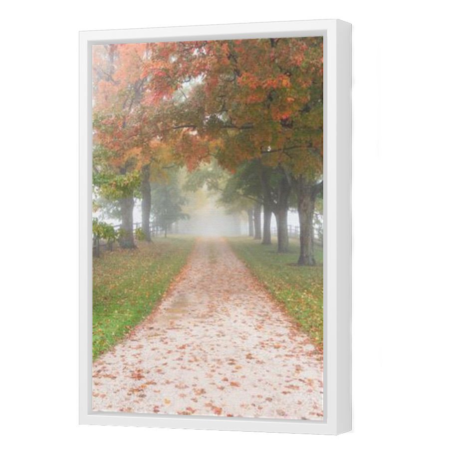 Thumbnail for Canvas - White Floating Frame