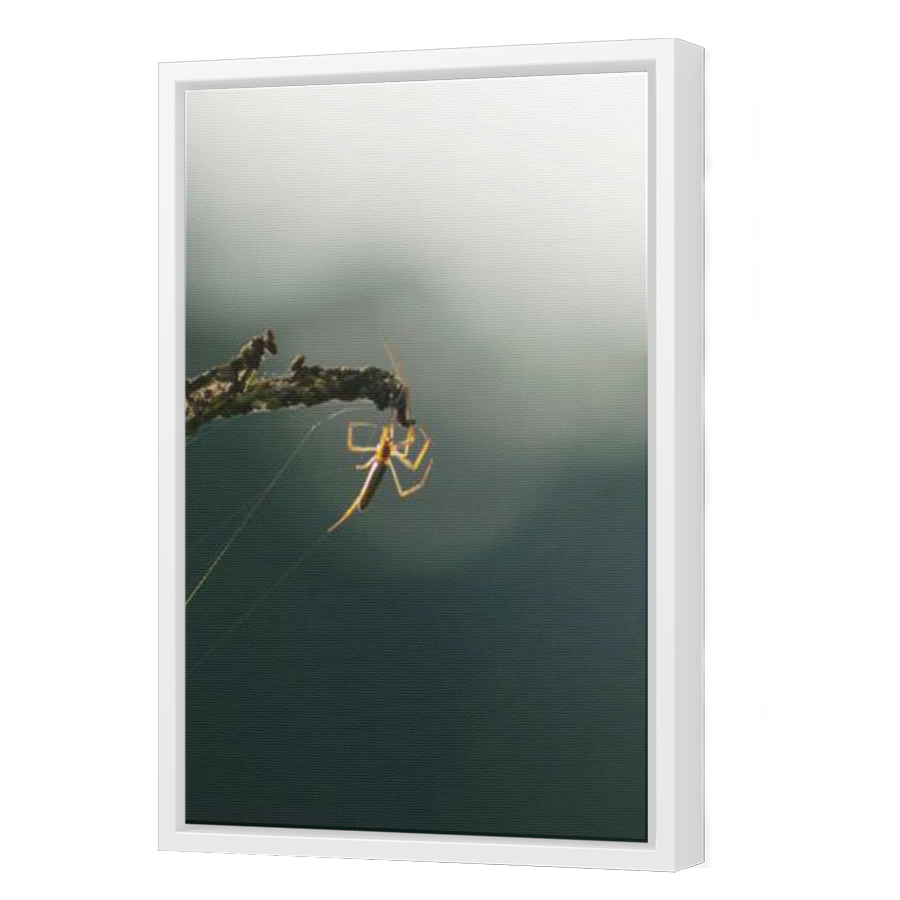 Thumbnail for Canvas - White Floating Frame