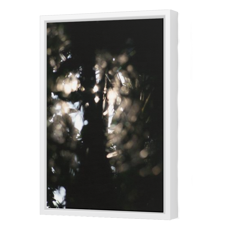 Thumbnail for Canvas - White Floating Frame