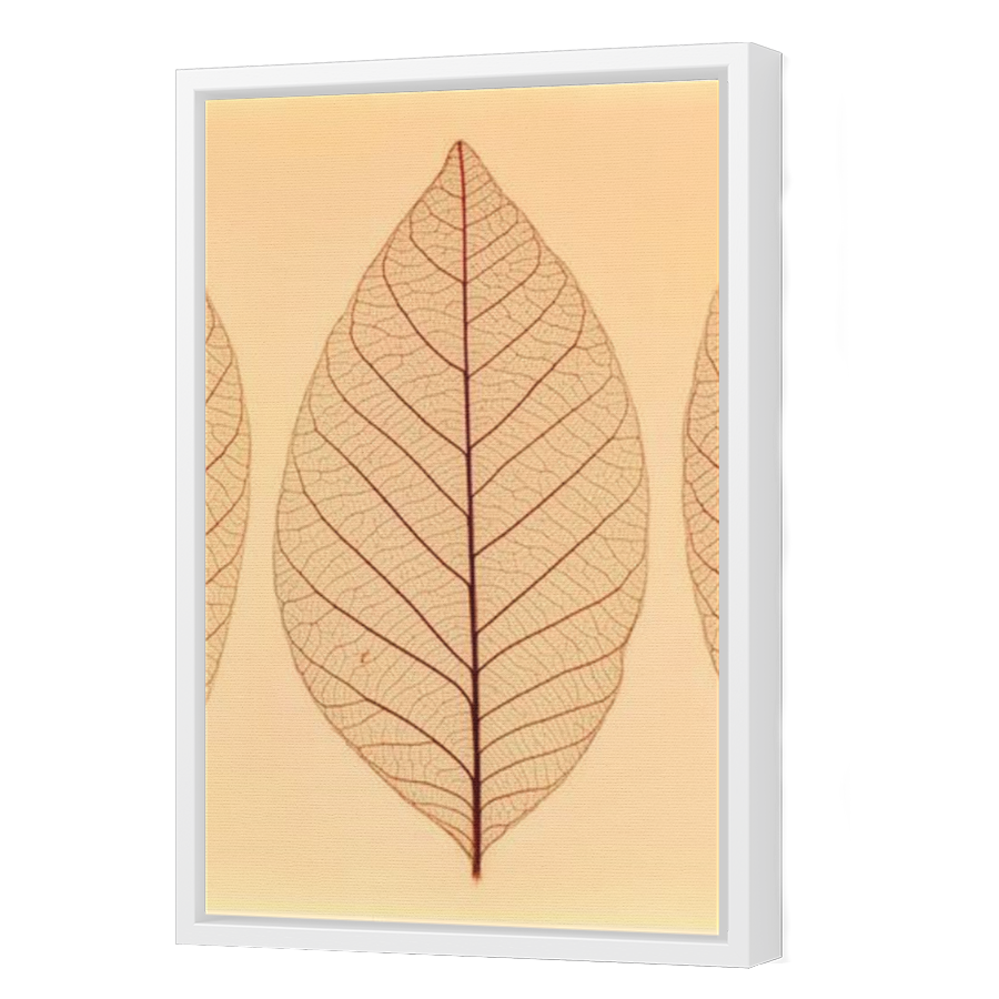 Thumbnail for Canvas - White Floating Frame