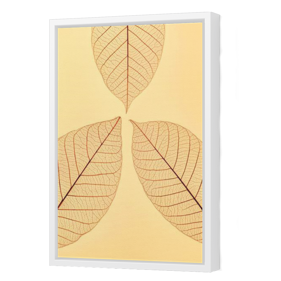Thumbnail for Canvas - White Floating Frame