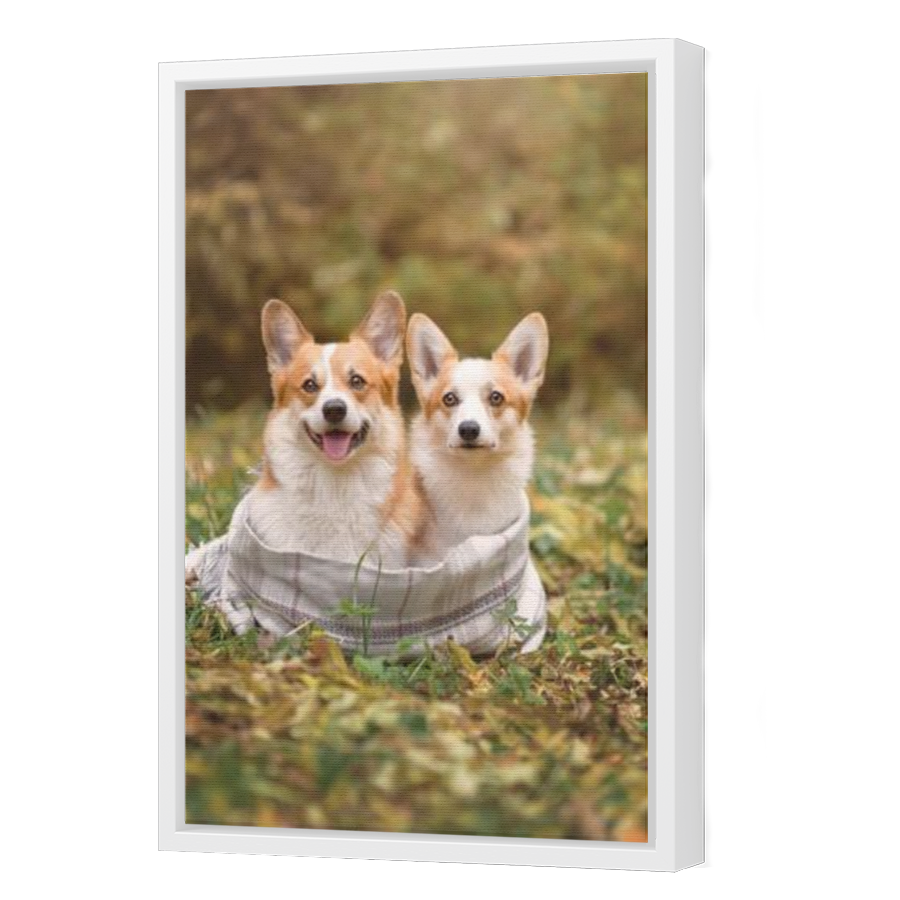 Thumbnail for Canvas - White Floating Frame