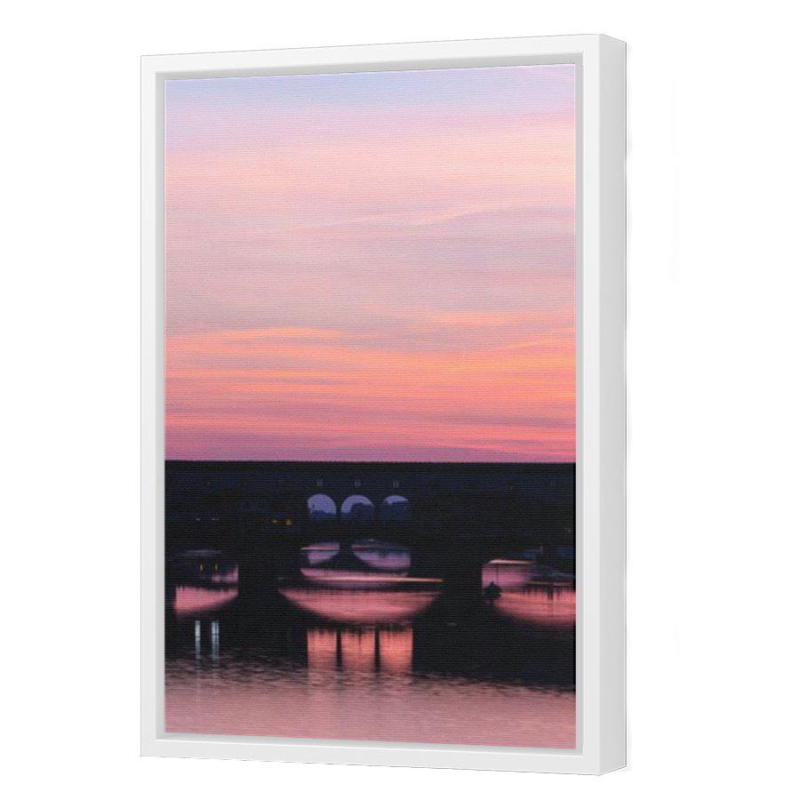 Thumbnail for Canvas - White Floating Frame