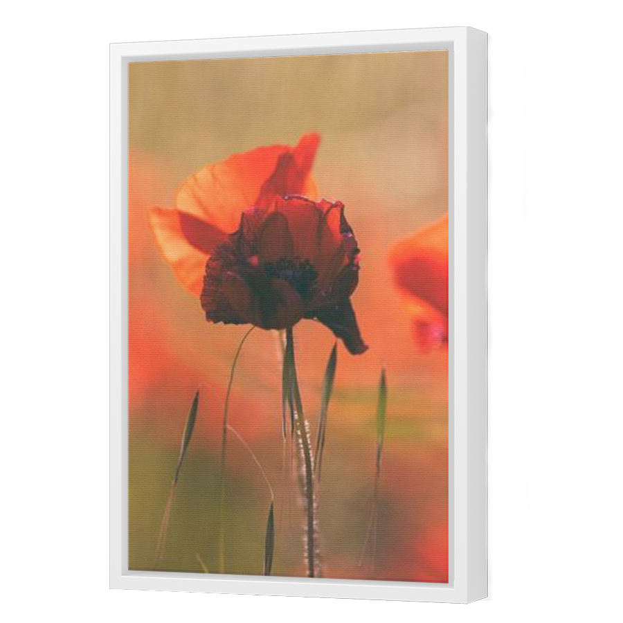 Thumbnail for Canvas - White Floating Frame
