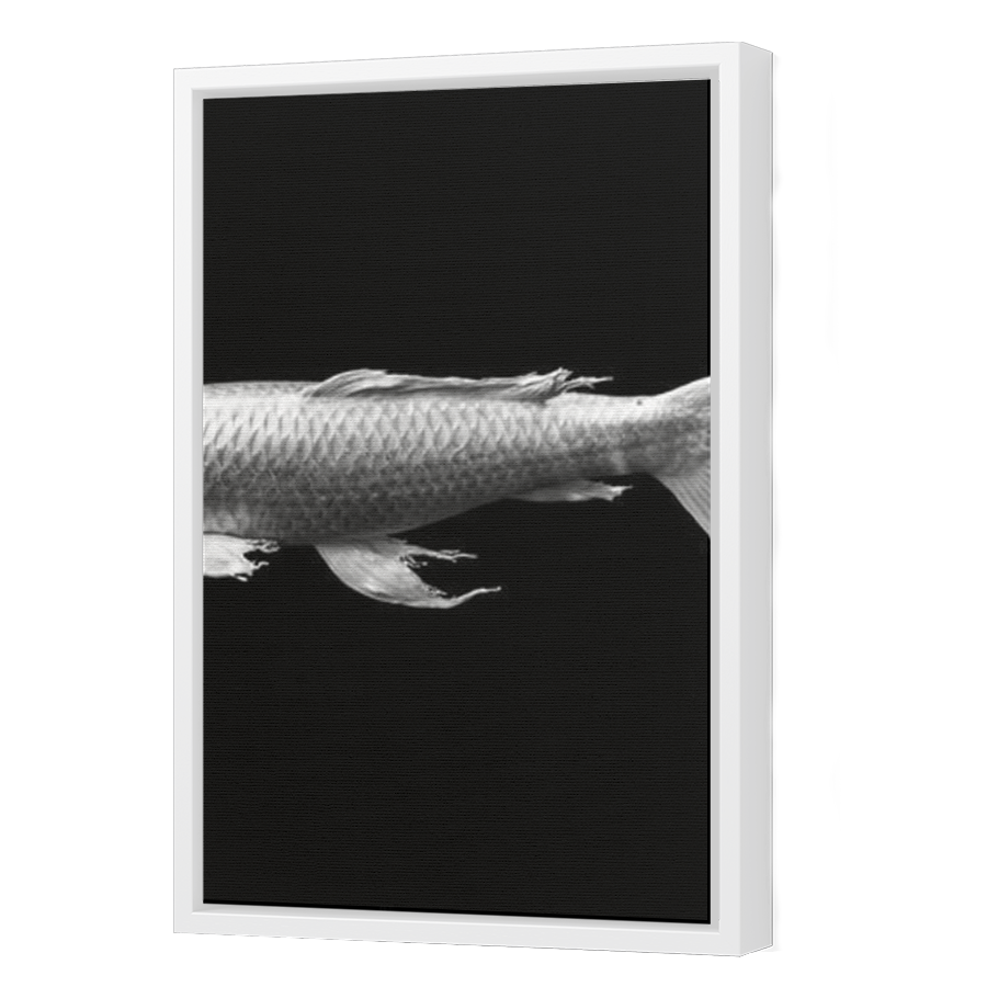 Thumbnail for Canvas - White Floating Frame