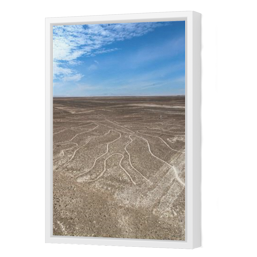 Thumbnail for Canvas - White Floating Frame