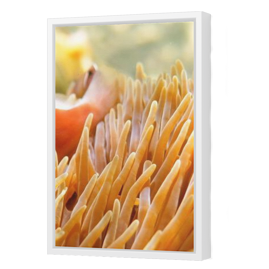 Thumbnail for Canvas - White Floating Frame