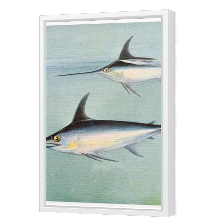 Thumbnail for Canvas - White Floating Frame