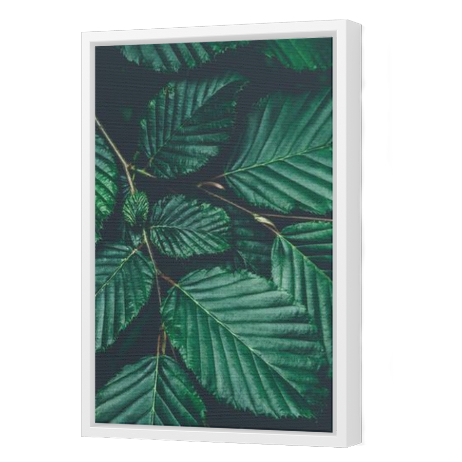 Thumbnail for Canvas - White Floating Frame