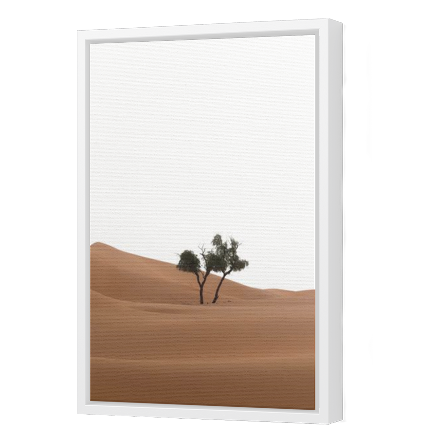 Thumbnail for Canvas - White Floating Frame