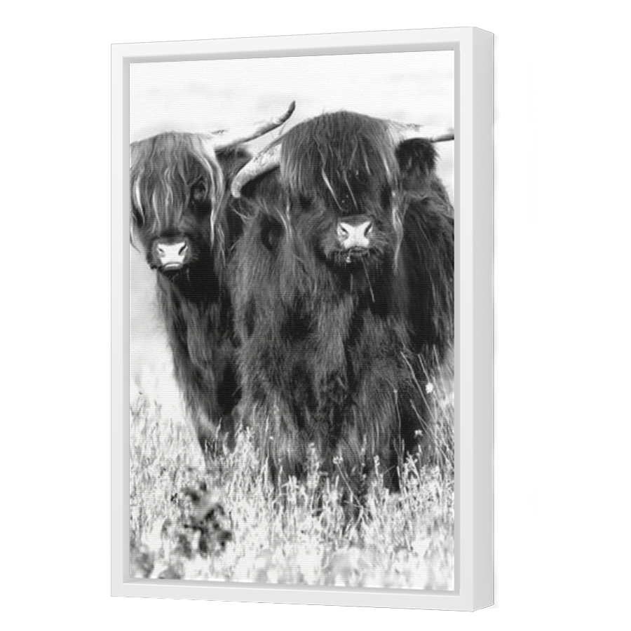 Thumbnail for Canvas - White Floating Frame