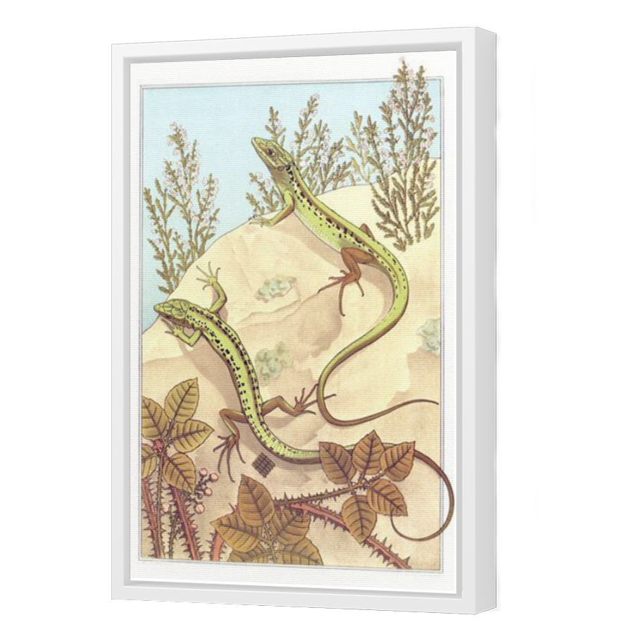 Thumbnail for Canvas - White Floating Frame