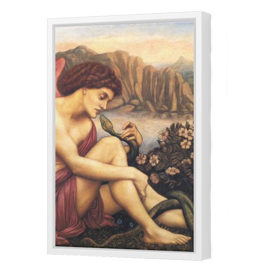 Thumbnail for Canvas - White Floating Frame
