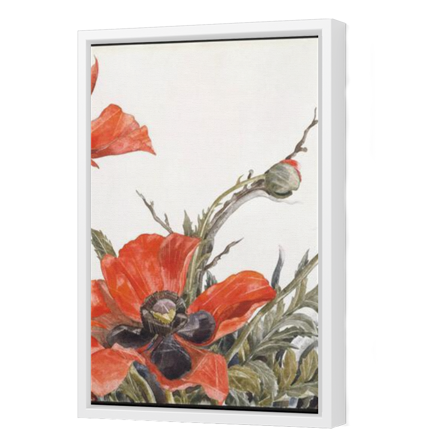 Thumbnail for Canvas - White Floating Frame