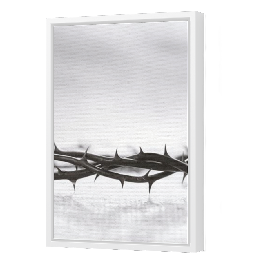 Thumbnail for Canvas - White Floating Frame