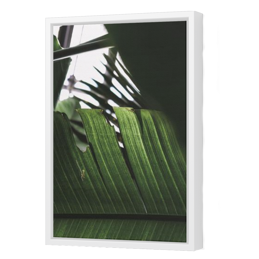 Thumbnail for Canvas - White Floating Frame