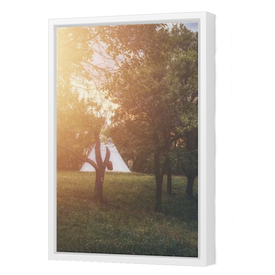 Thumbnail for Canvas - White Floating Frame