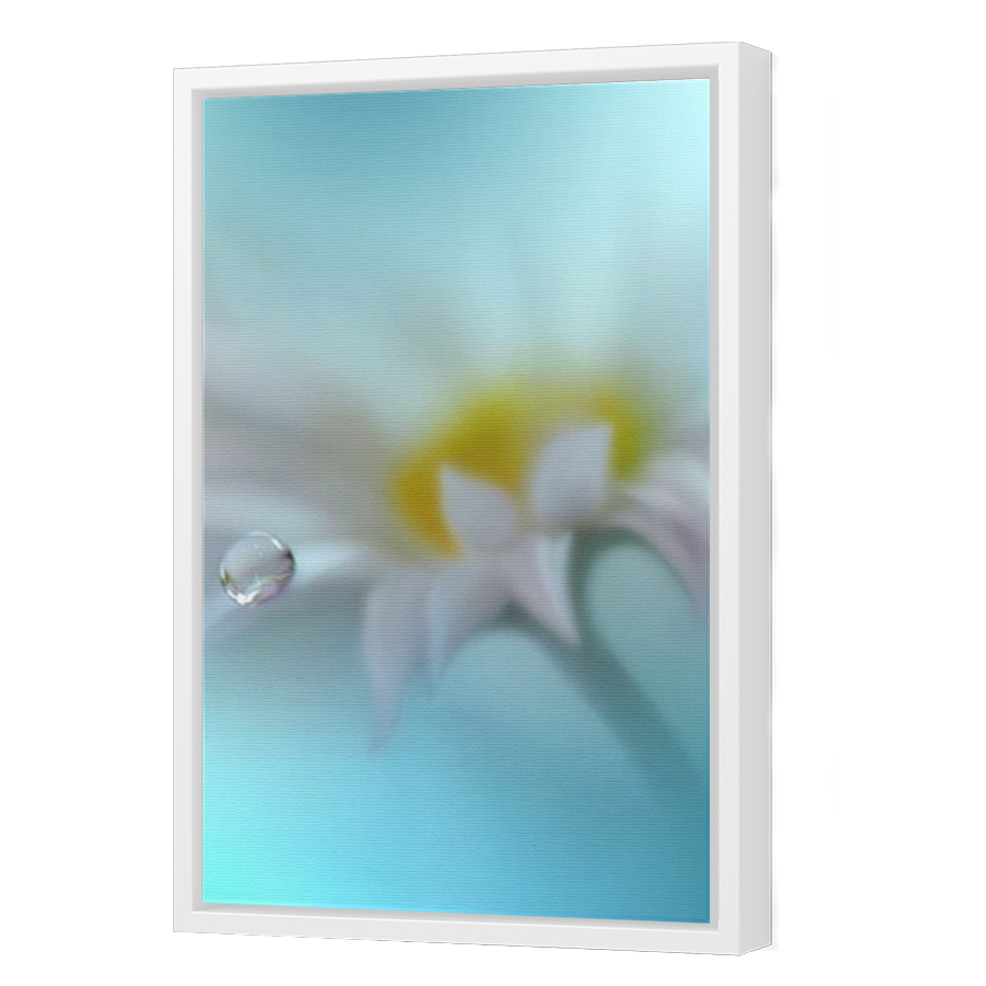 Thumbnail for Canvas - White Floating Frame