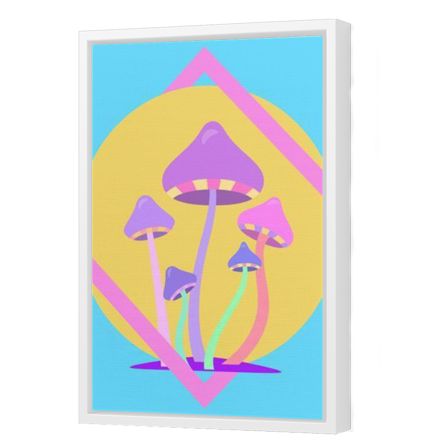 Thumbnail for Canvas - White Floating Frame